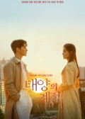 Watch A Place in the Sun online